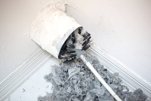 Best Duct Cleaning Specialists  in Shenandoah, PA